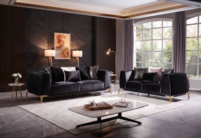Shiny Thick Velvet Fabric Upholstered 2PC Living room set made with wood in Black