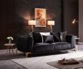 Shiny Thick Velvet Fabric Upholstered 2PC Living room set made with wood in Black