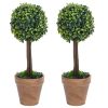 Artificial Plant Set of 2 Mixed Green