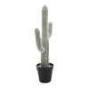 8x5x24.5"H Artificial Saguaro Cactus in Black Pot