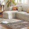 Machine Washable Area Rug 5x7, Non-Slip Traditional Floor Cover Foldable Carpet for Living Room, Dark Mixed-Brown