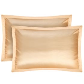 2 Pack Soft Silky Satin Pillow Case Hypoallergenic Breathable Bed Pillow Cover Queen Size Pillowcase Great for Hair Skin (Option: Ivory)