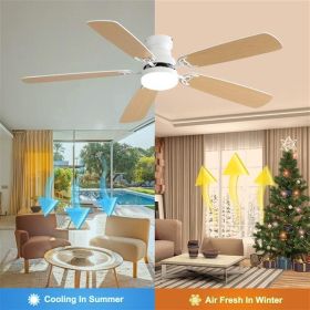 Indoor Modern 52 Inch Ceiling Fan (Option: Matte White)