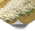 Blooming Beauty: Bulb Fields Poster
